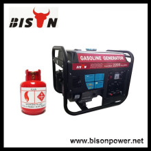 BISON(CHINA) BS2500NGLC Factory Gasoline Gas Generator Set